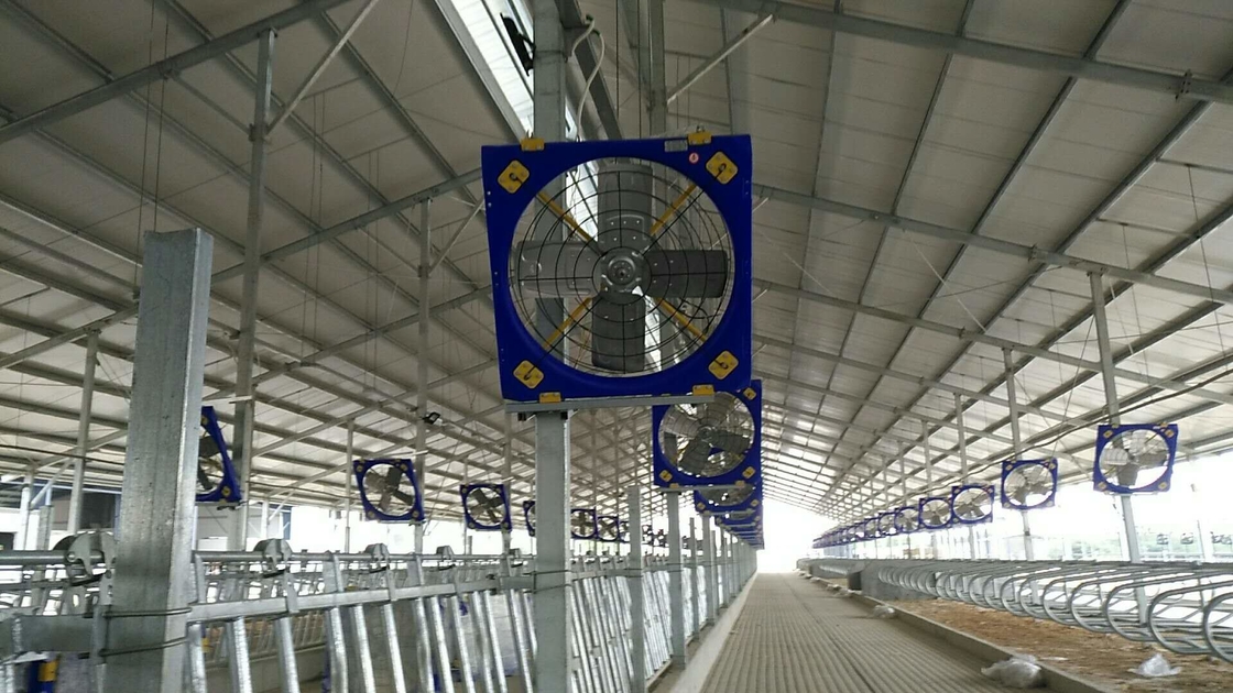 Eén stuk vormproces Terrui vee ventilator aangepast ontwerp energiebesparing en lange levensduur