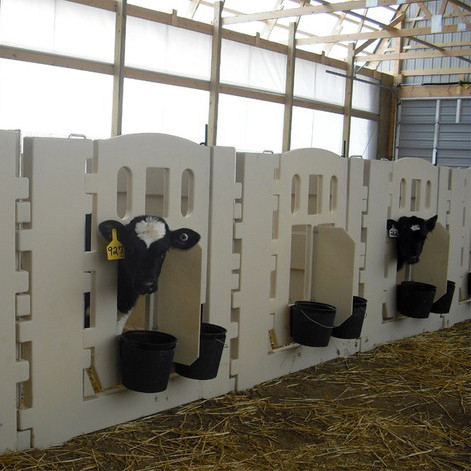 De ideale keuze voor een veilige en comfortabele veeteelt