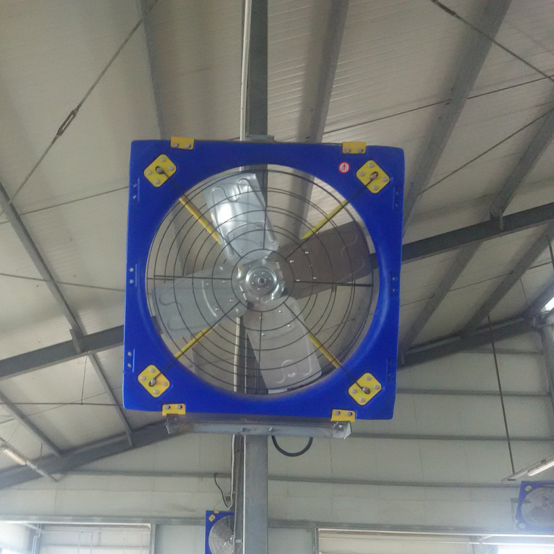 Sterkte Dubbellaag PE Veecirculatieventilator met 410w Input Power en 38 bladdiameter