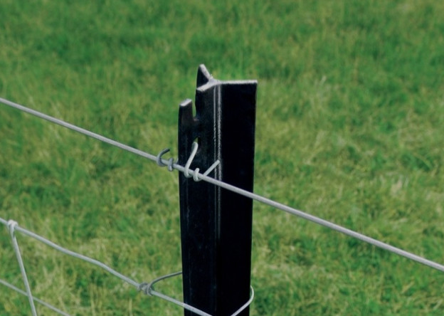 Zware Y-post voor ranch met aanpasbare kleur Zwart gegalvaniseerd oppervlak en Y-vorm zonder tanden