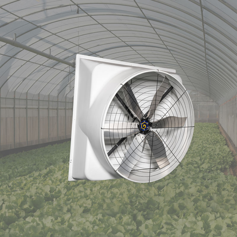 Krachtige Pluimvee Ventilator 850w Ingangsvermogen Luchtstroom Schroef Aan Het Frame Op De Muur