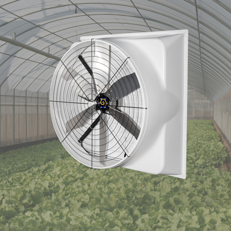 Grootvolume 55-inch afzuigventilator Grote industriële ventilator met legering blad Ventilatieventilator voor precisie pluimvee- en boerderijklimaatbeheer