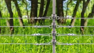 Beveilig uw vee: hoe u T-post-isolatoren op elektrische afrastering installeert
