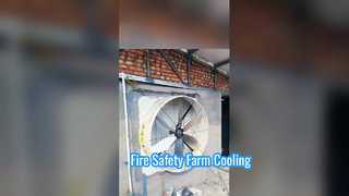 Hogesnelheidsventilatie: Terrui industriële afzuigventilatoren in actie