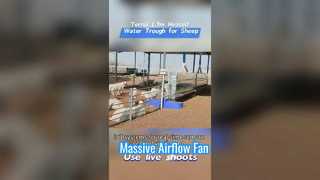 1,7 m verwarmde veewaterbak gemaakt van duurzame kunststof behuizing om extreme koude omstandigheden te weerstaan